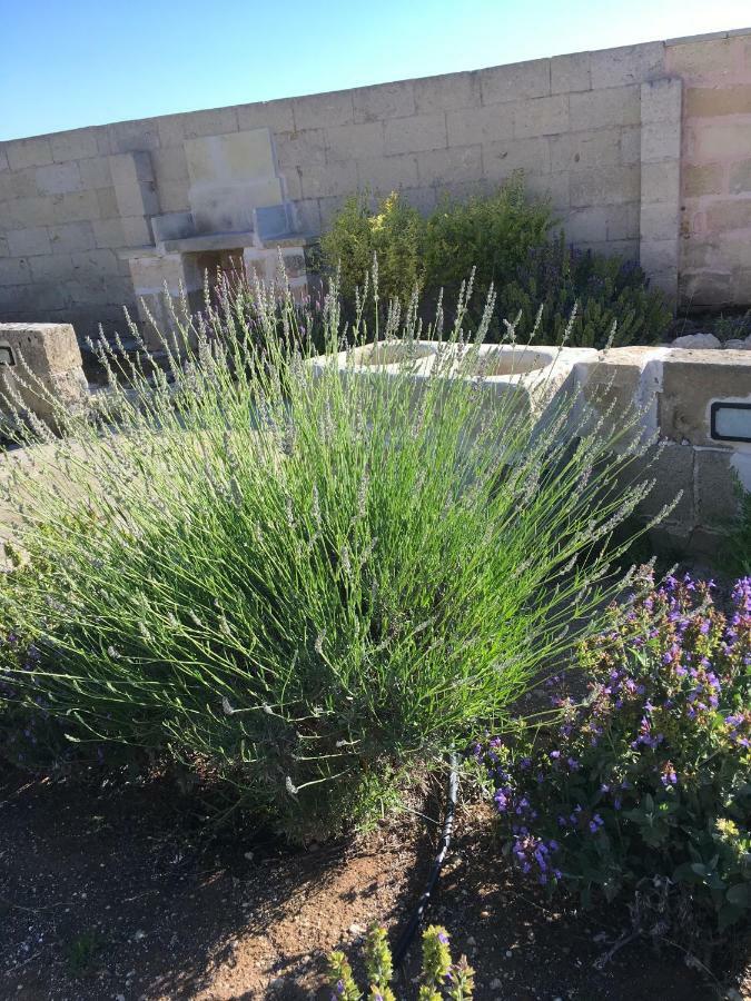 Masseria Asteri B&B Cannole Екстер'єр фото
